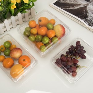 High transparency eco friendly disposable plastic fruit container